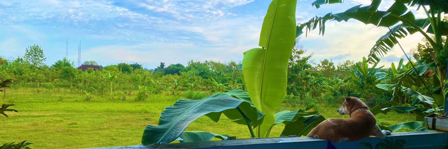 じょんらぶ🐕ver.2 banner