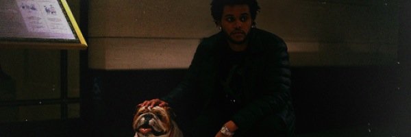 gustavericsso's profile banner image