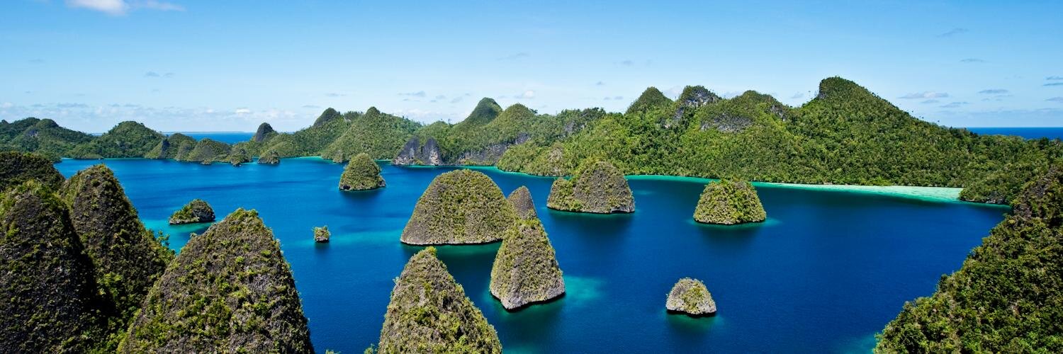 The Coral Triangle (_coraltriangle_) Twitter