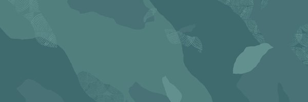JeromeFr Profile Banner