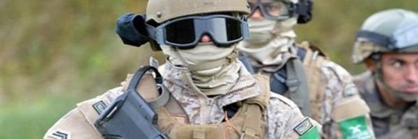 pqdb0's profile banner image