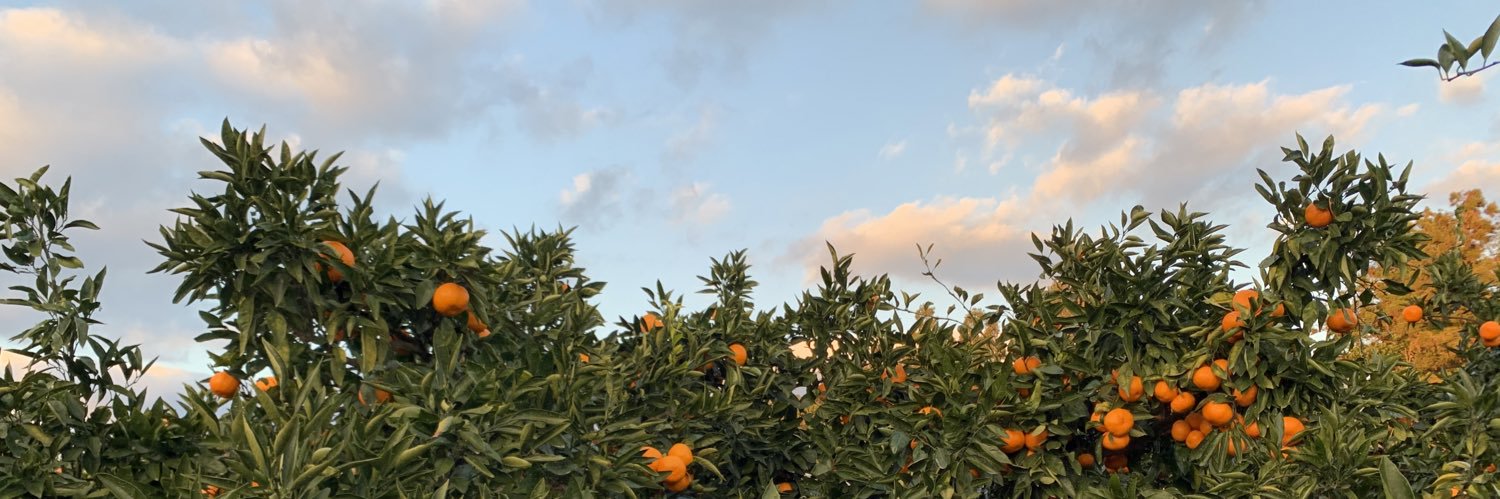 kellivuong's profile banner image