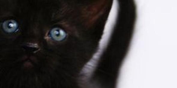 Melimanz's profile banner image