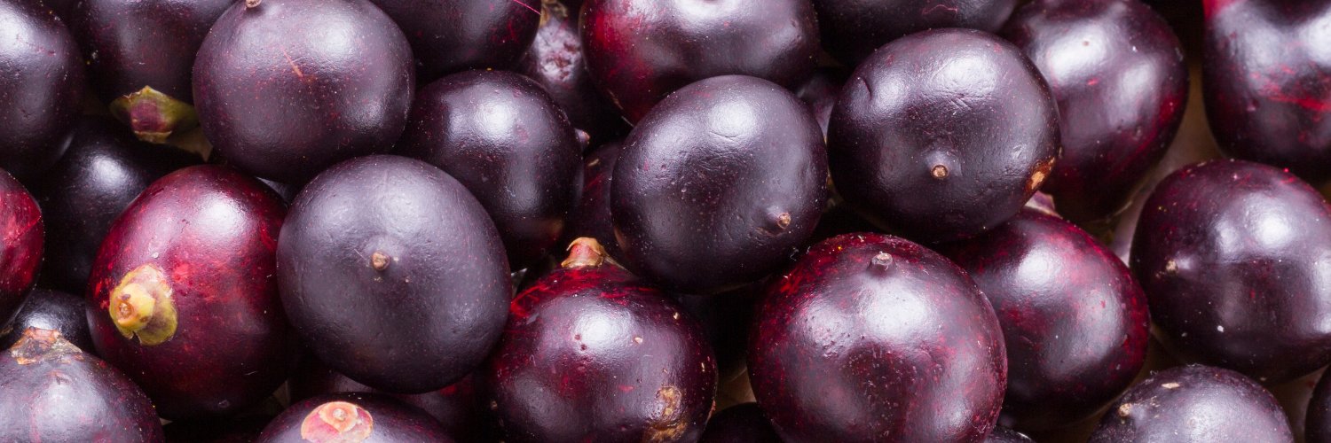 Amazonas4uU Açaí banner