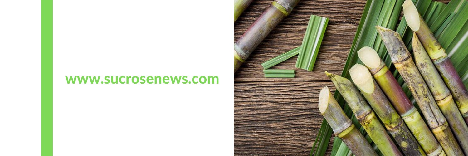 SugarIndustry's profile banner image