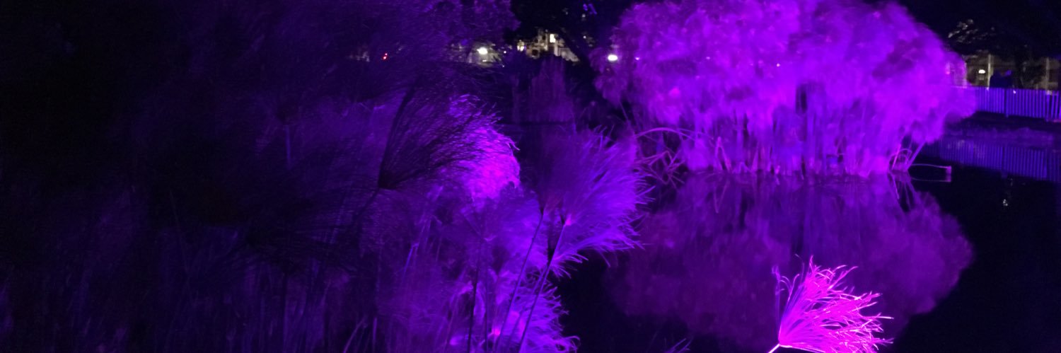 sin_de_siecle's profile banner image