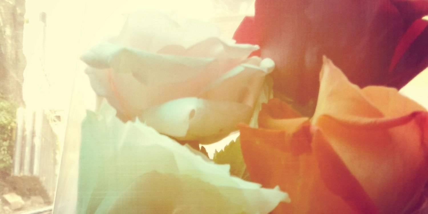 putrygilang's profile banner image