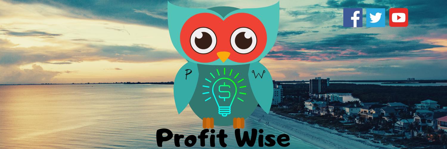 WiseProfits's profile banner image