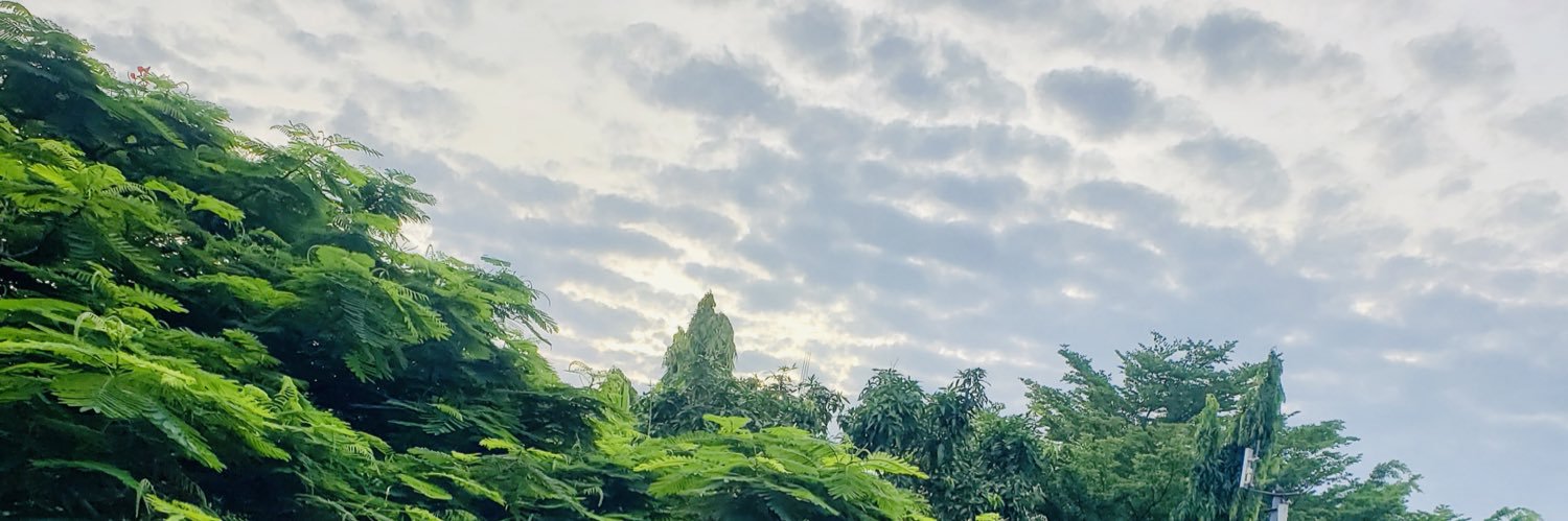 segzyodus's profile banner image