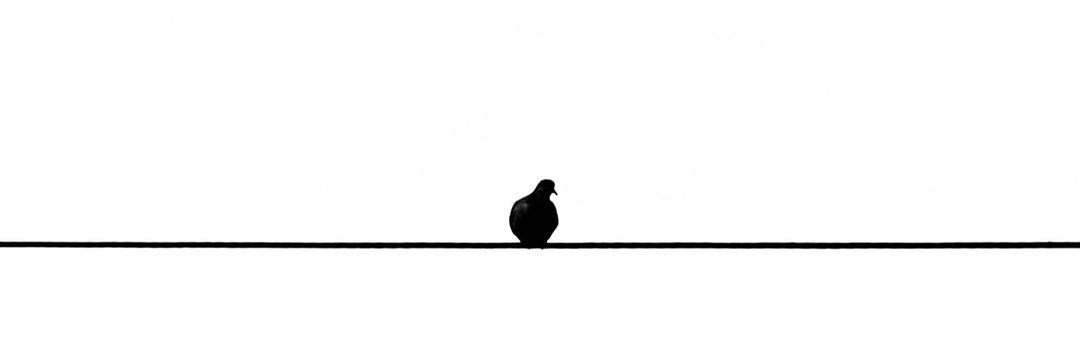 مُـ‌حَـ‌مّـ‌د banner
