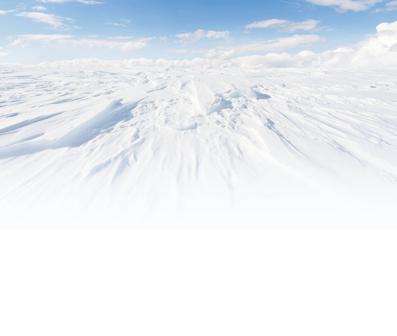 Northwind98's profile banner image
