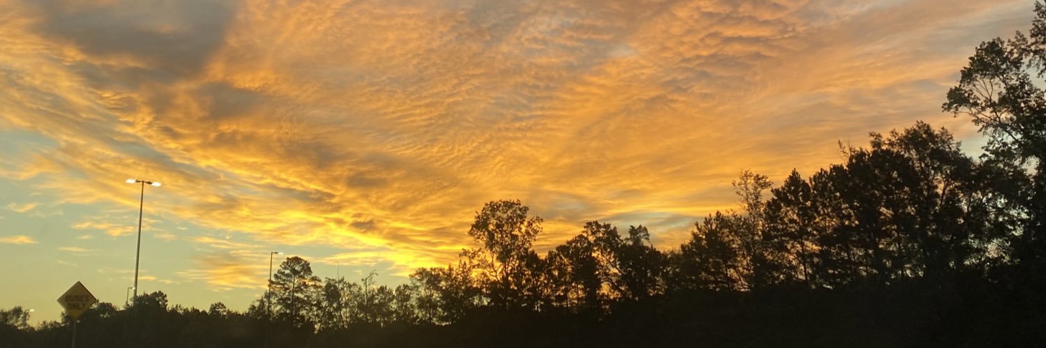loganhaskins_'s profile banner image