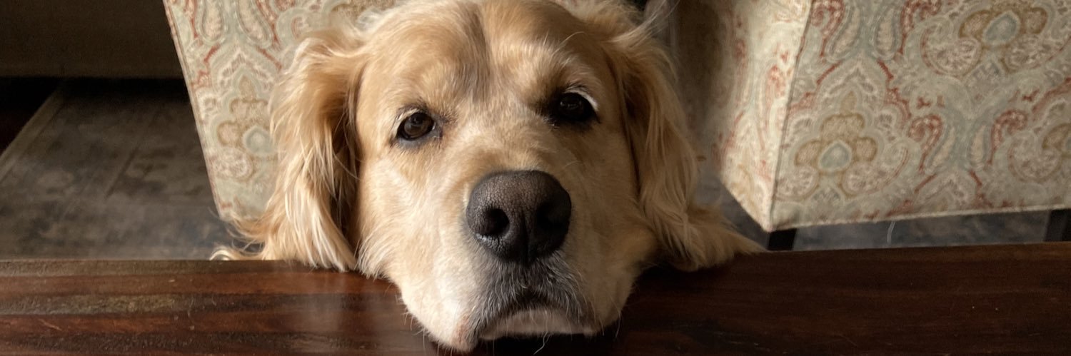 Catherine McMichael banner