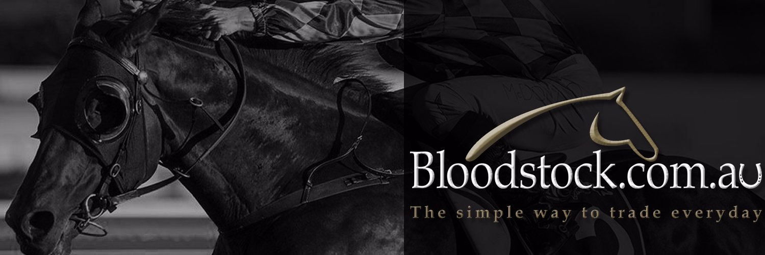 Bloodstockcomau's profile banner image