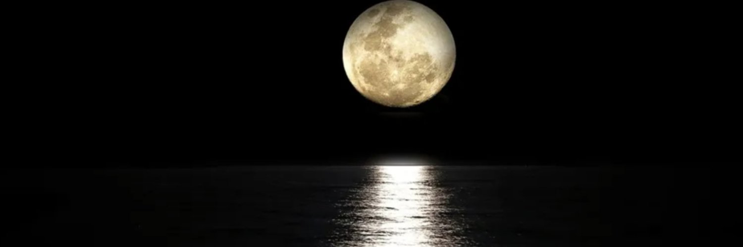 saadon252's profile banner image