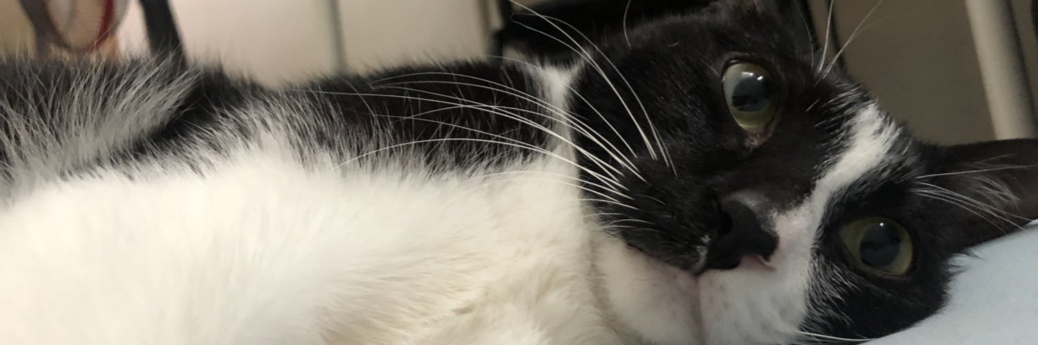 RR_ray_'s profile banner image