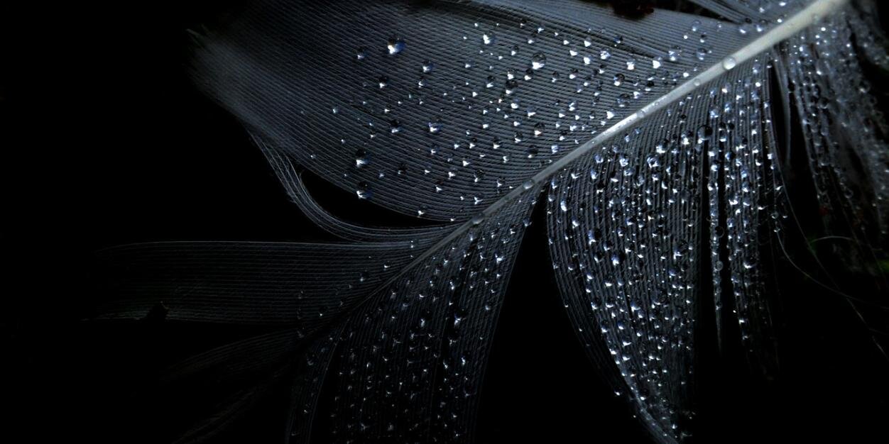 NecmiGoy's profile banner image
