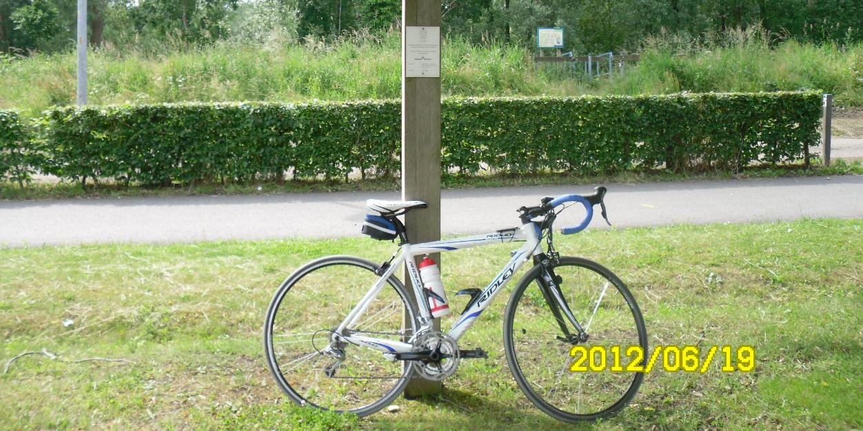steentjelh's profile banner image