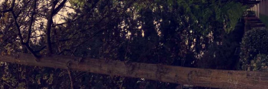 danh_h511's profile banner image