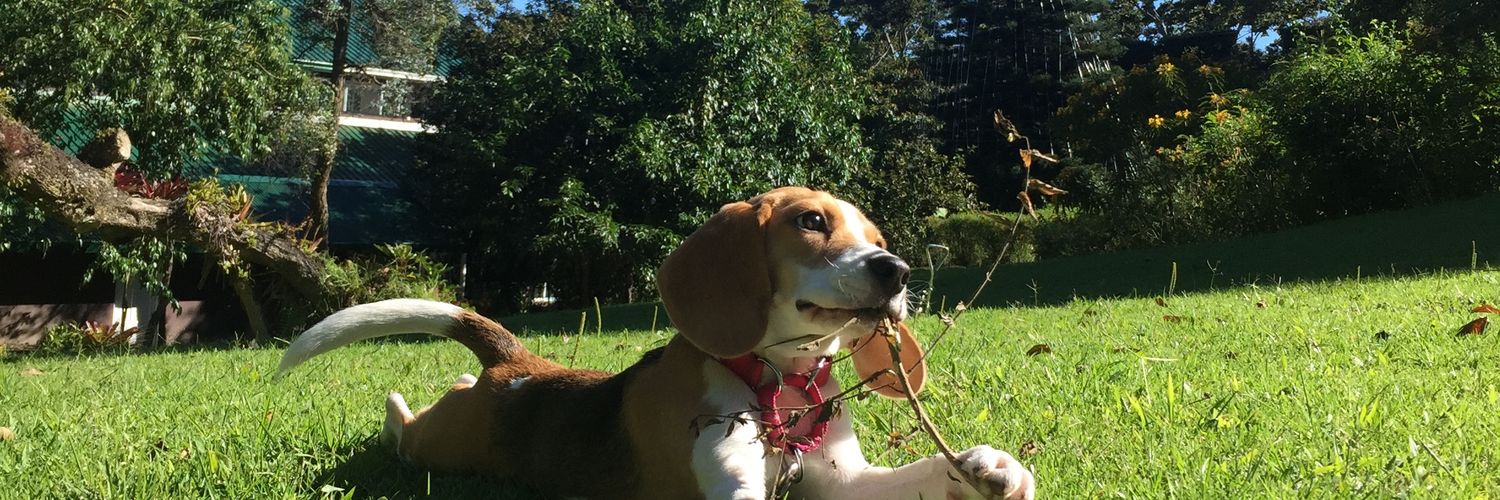 andyMM10's profile banner image