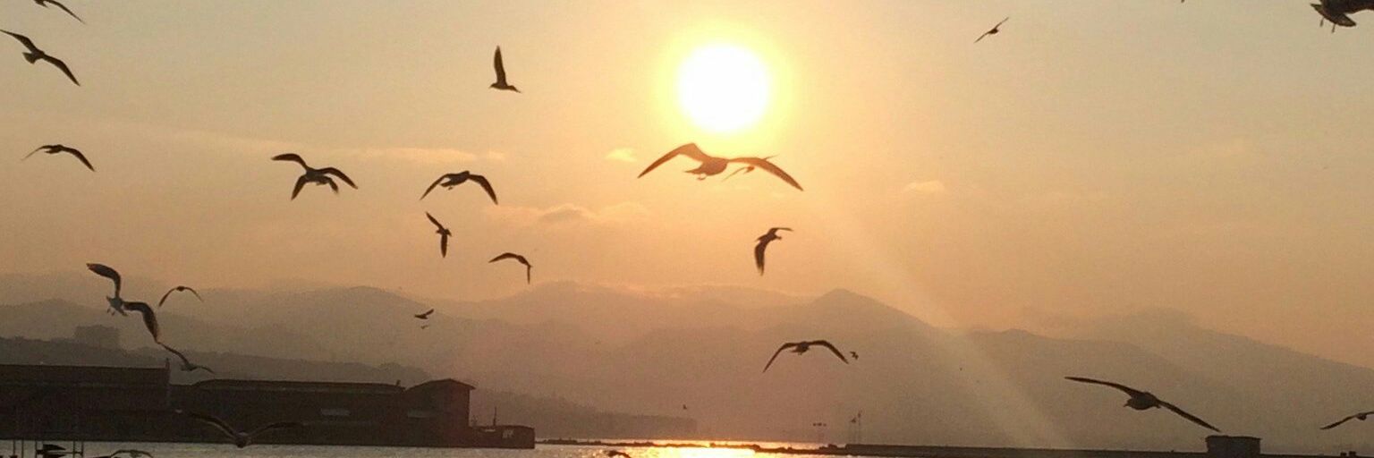 baris_eyb's profile banner image