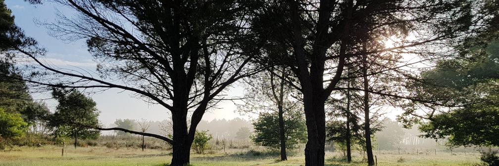 irotchk's profile banner image