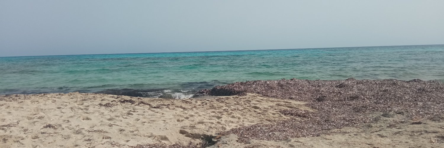 Pellombor's profile banner image