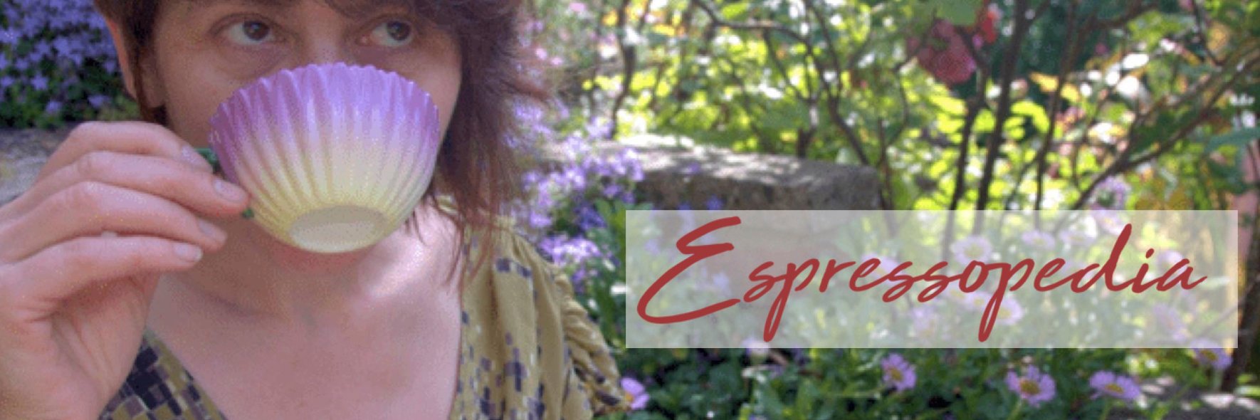 EspressoPedia's profile banner image