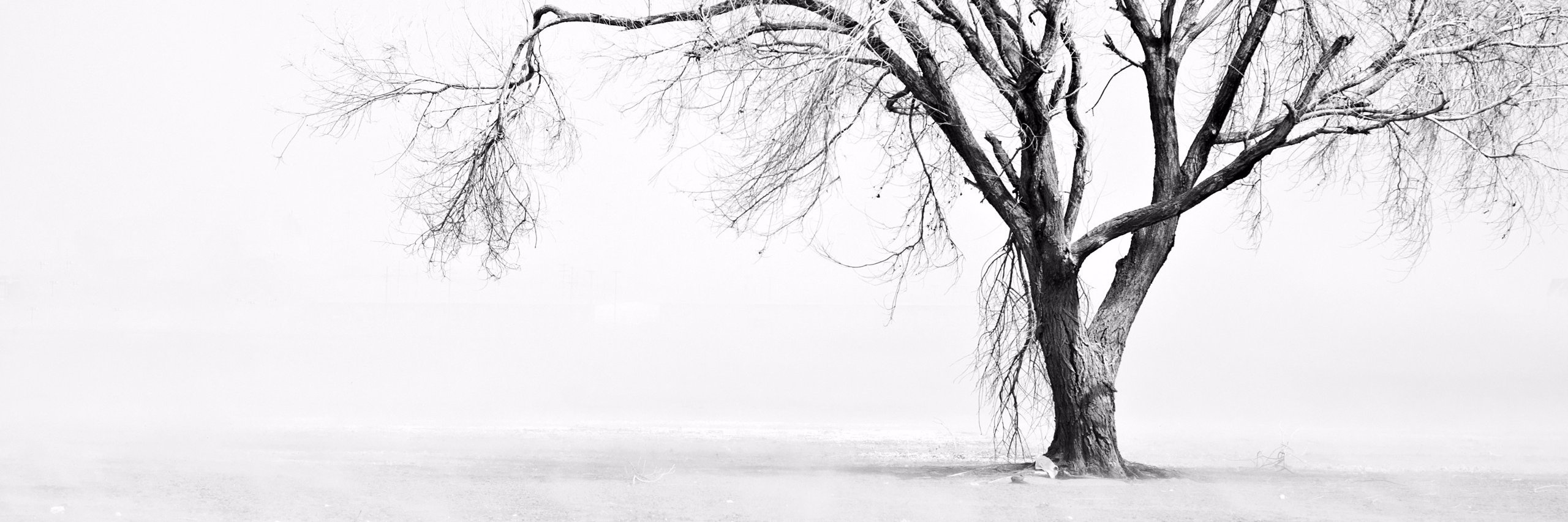 pabsonthego's profile banner image