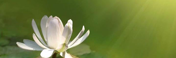 sureshubt's profile banner image