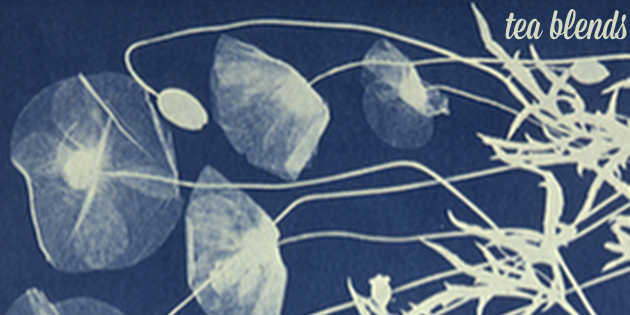 TriptychBlends's profile banner image