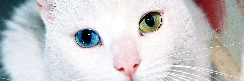 yunusinal's profile banner image
