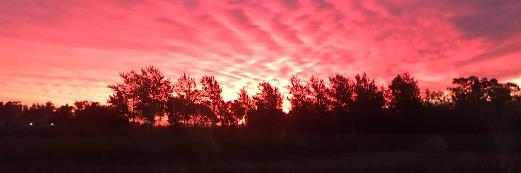 majofernn's profile banner image