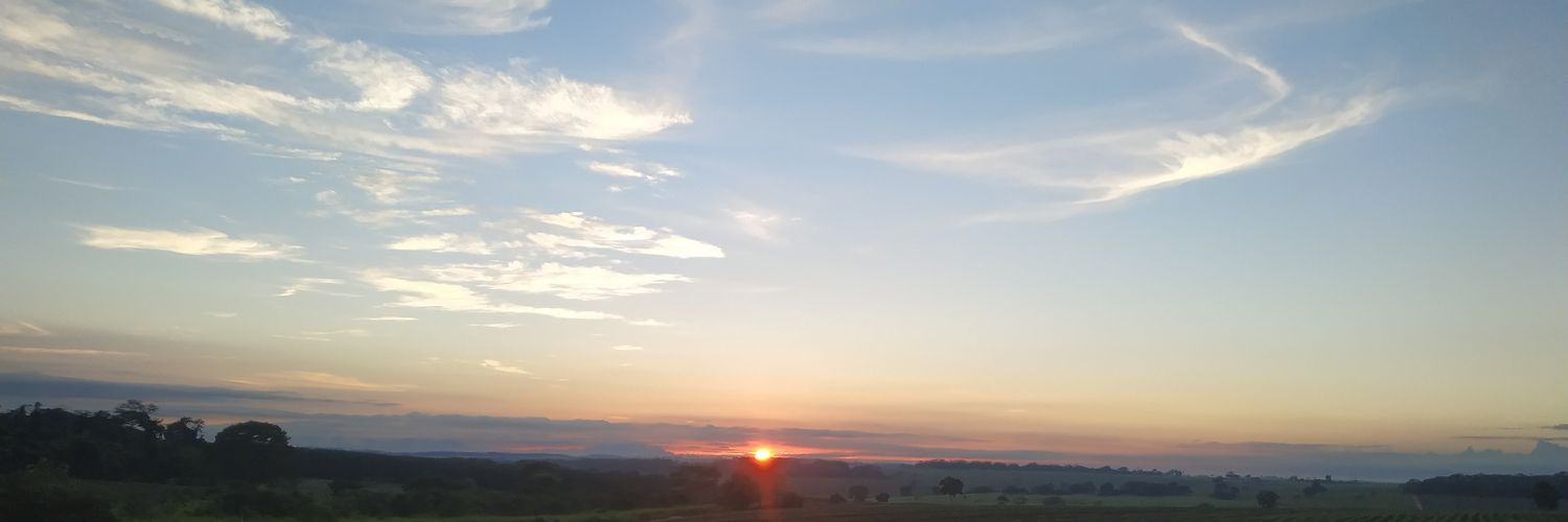 Risocell's profile banner image