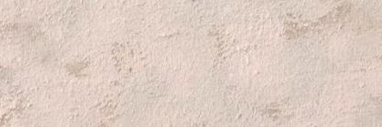 bonsaikjoon's profile banner image
