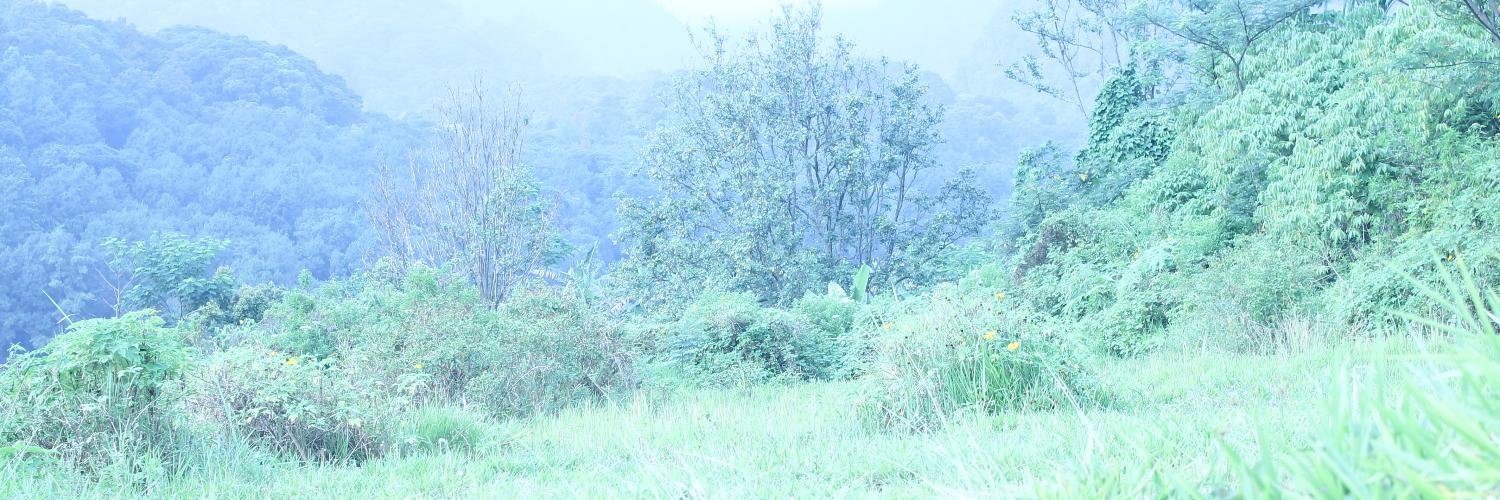 IvanRyzky's profile banner image