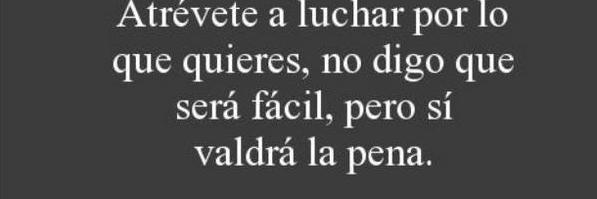 Monica E. Jimenez L. banner