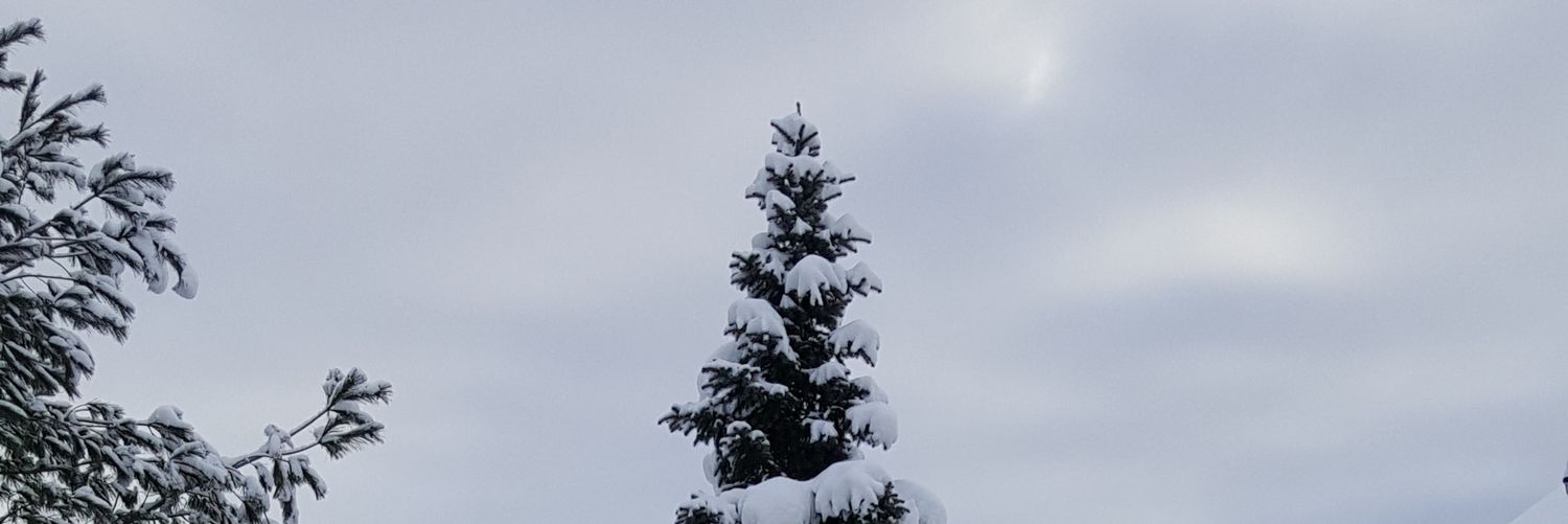 letaleroux's profile banner image