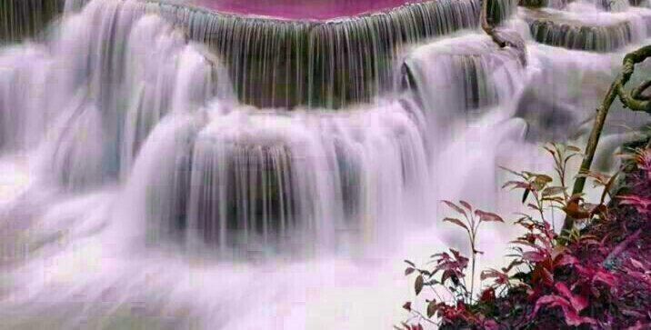 सीए. नरेश ठटई 🇮🇳 banner