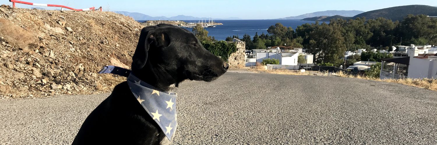 barandrms's profile banner image