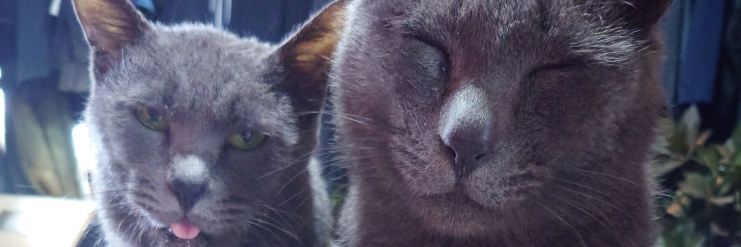 稲葉涼 banner