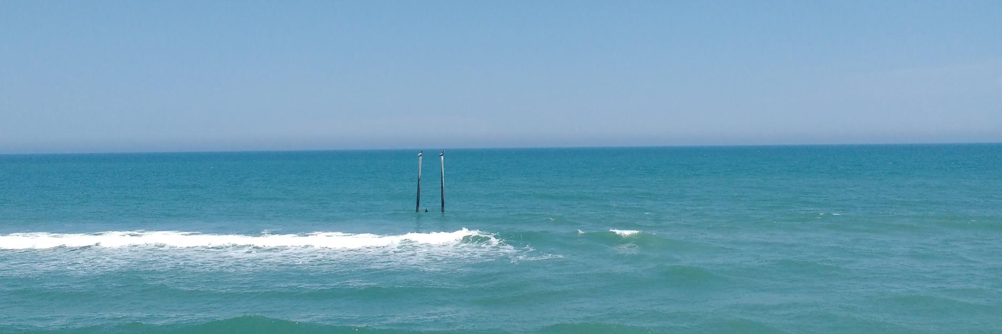 Fernanda Mediano Stoltze banner