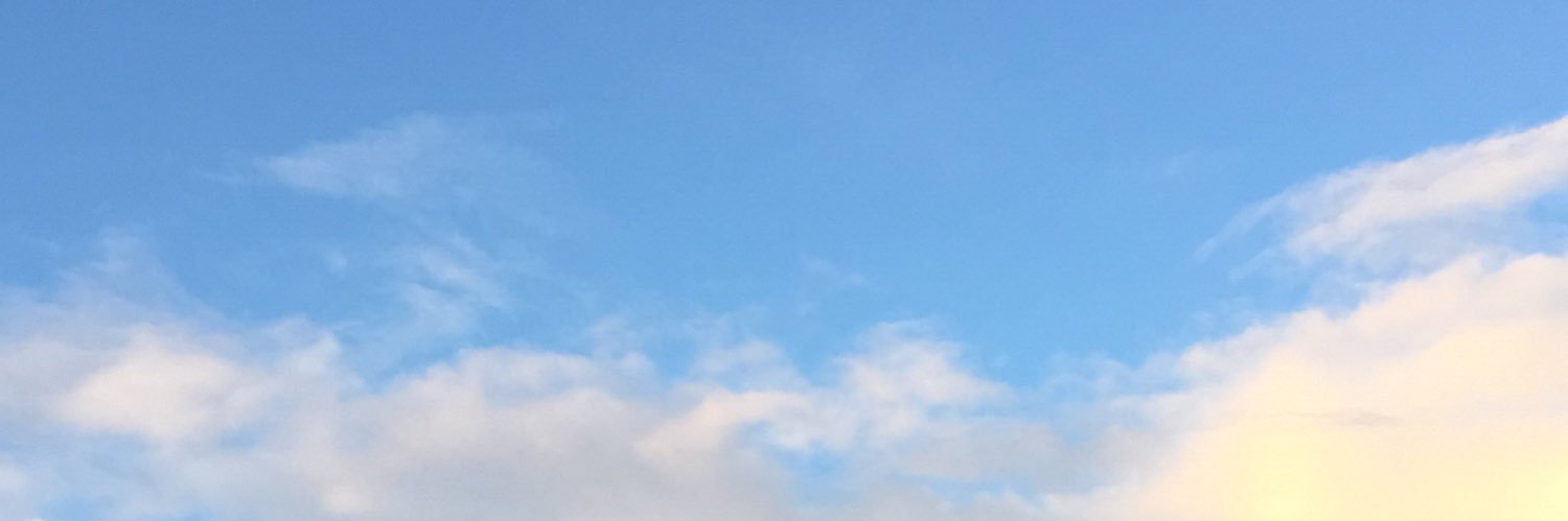 wobballs's profile banner image