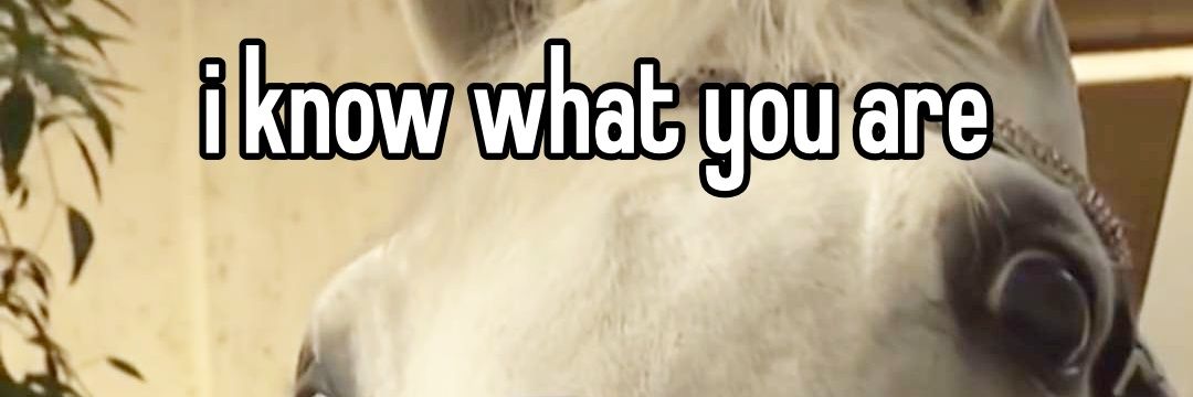 linor ☕️🍵🦋 banner