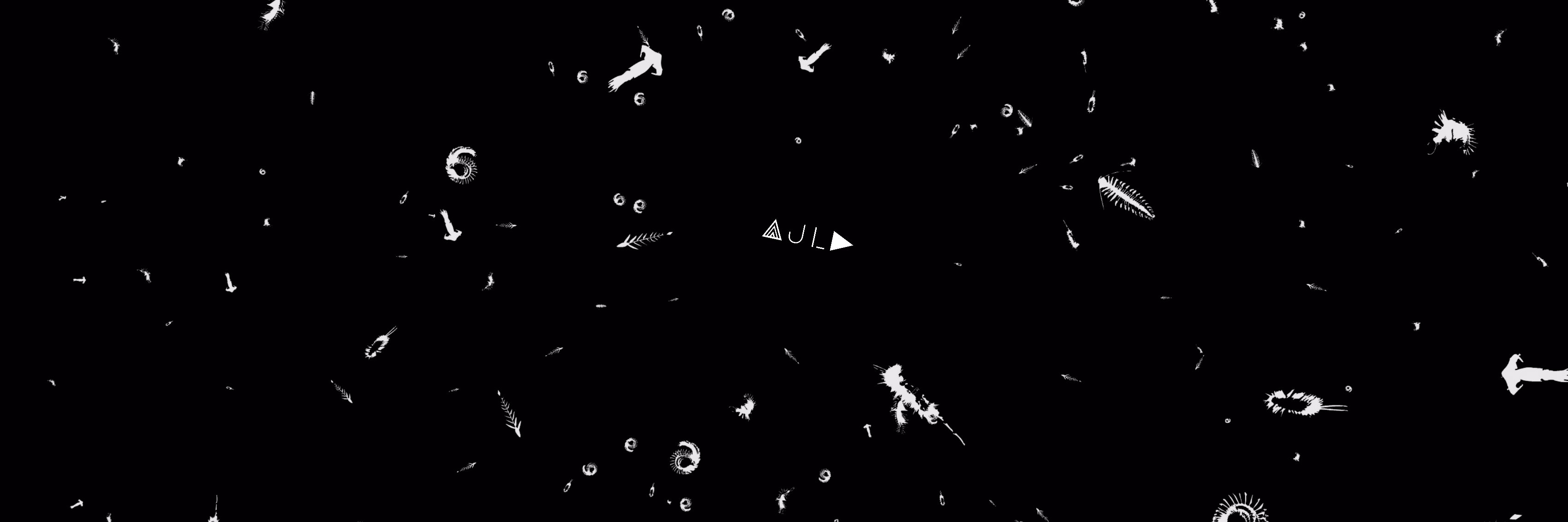 Aula Records banner