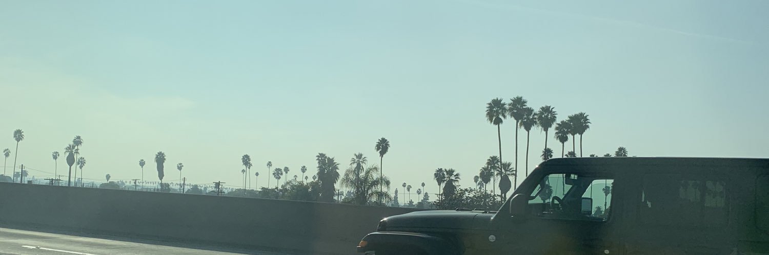 danicolvinlaws's profile banner image