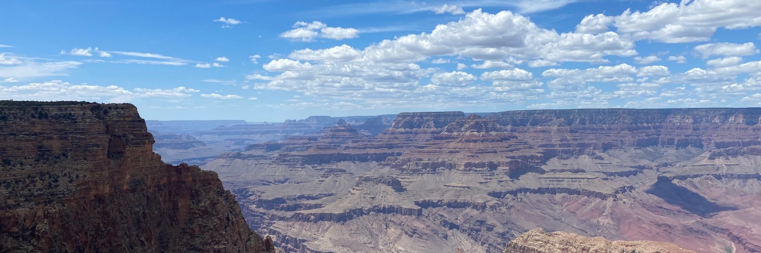 TRepp14's profile banner image