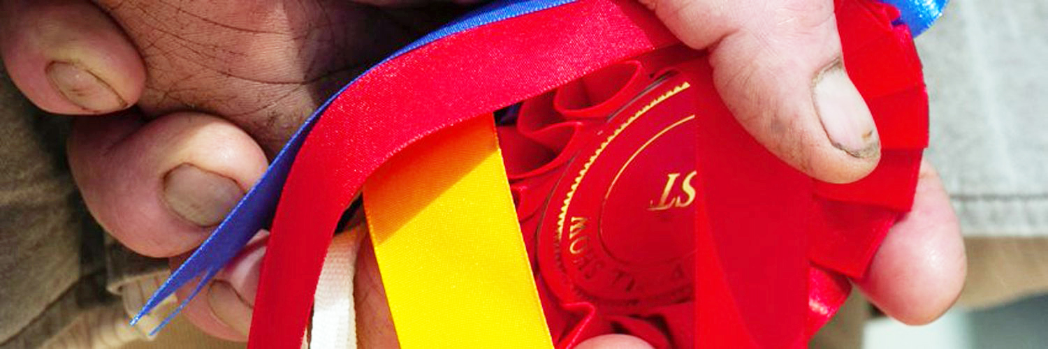 adwmedia's profile banner image