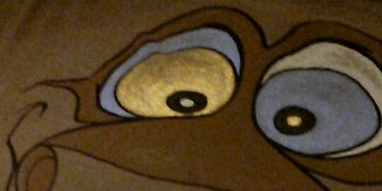 widzy73 banner