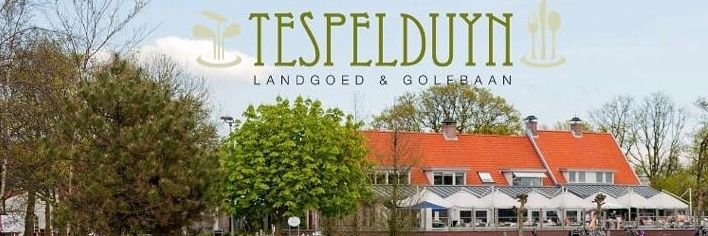 Tespelduyn's profile banner image